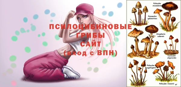 jwh Алексин