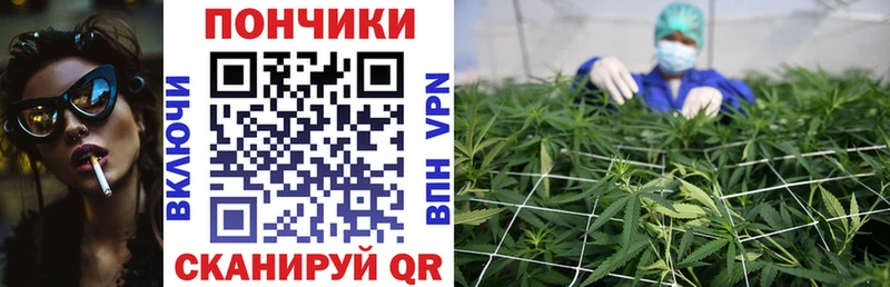 Каннабис семена  Гурьевск 